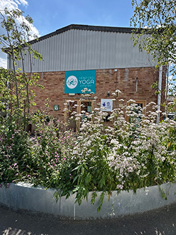 Hereford Yoga Centre_Garden 1 Hereford Yoga Centre building exterior with communal garden. Summer flowers and blue sky.